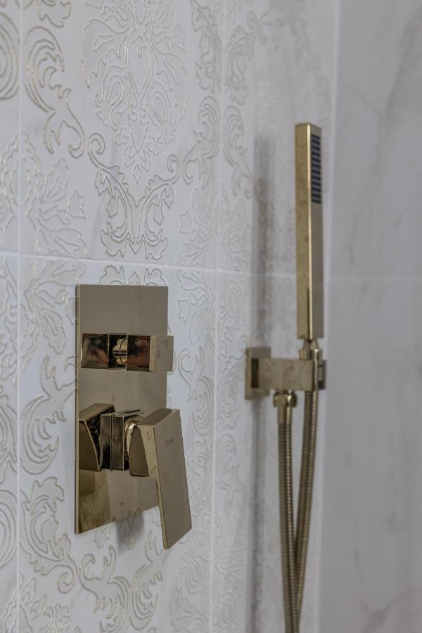 Hotel Vila Central Boutique Satu Mare Buitenkant foto